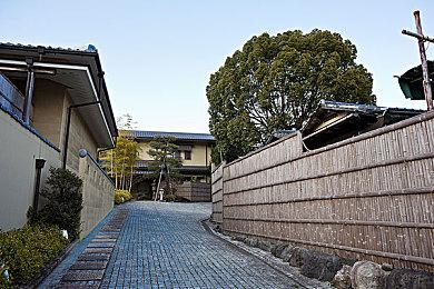 韩国恐怖游戏《白色情人节2：谎言之花》新预告